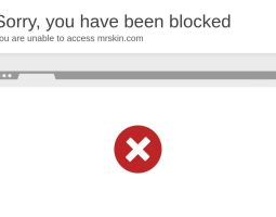 mrskin.com