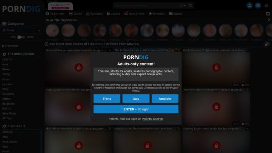 porndig.com