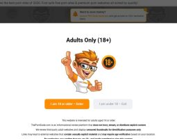 theporndude.com